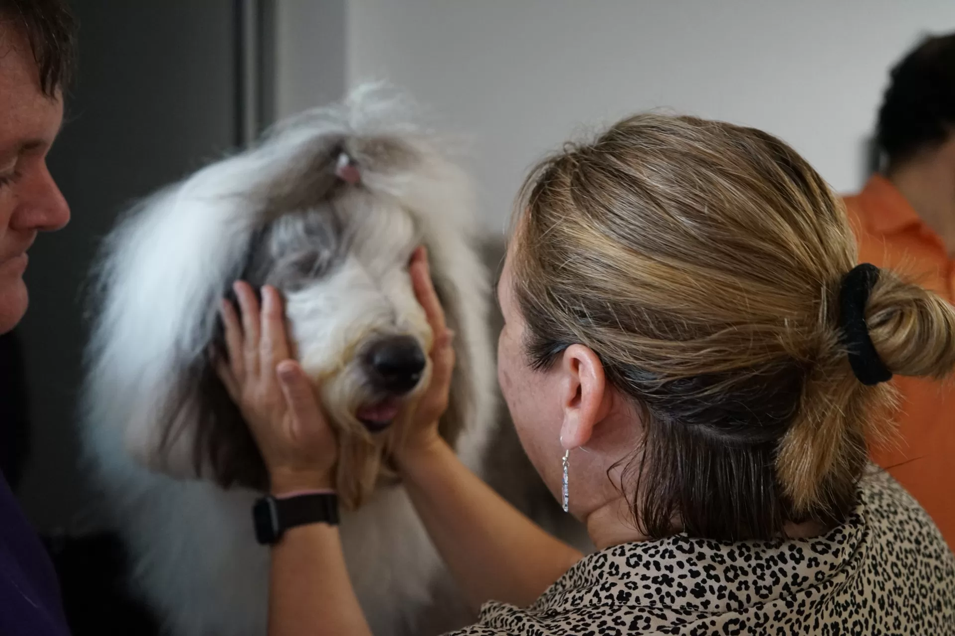A woman holds a long haired dogs face and rubs his head