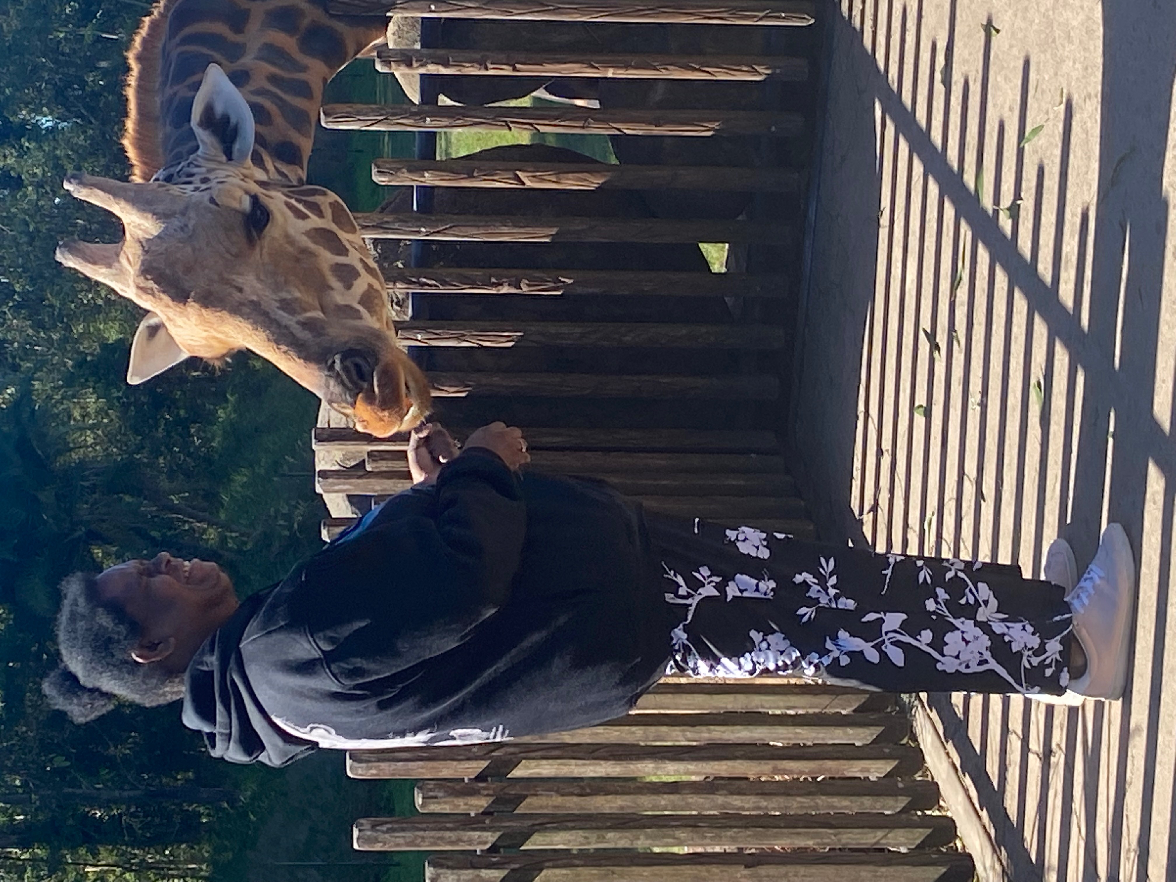 Taum feeding a giraffe
