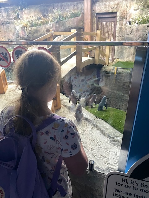 Rosie looking at penguins