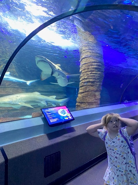 Rosie holding her head while a shark swim overhead in the Sea Life tunnel